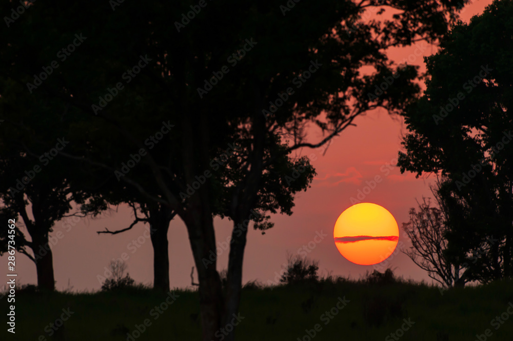 The golden sun sets on the tropical plain. The golden sun sets on the tropical plain.