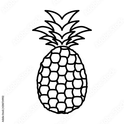 fresh pineapple fruit nature icon