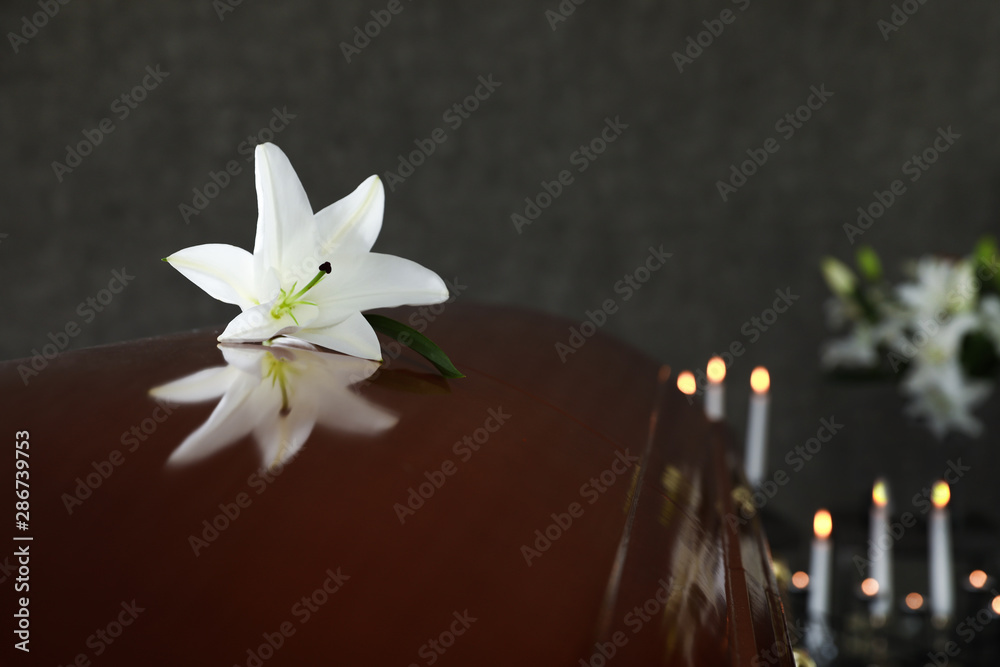 Fototapeta premium Wooden casket with white lily in funeral home, closeup. Space for text