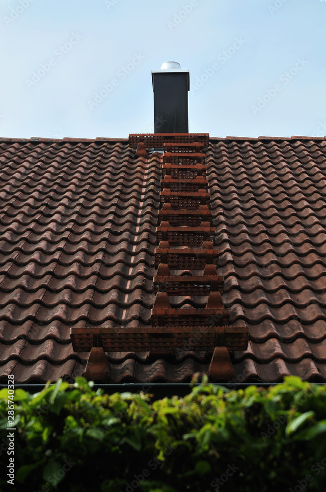 metal ladder for chimney sweeper on a roof