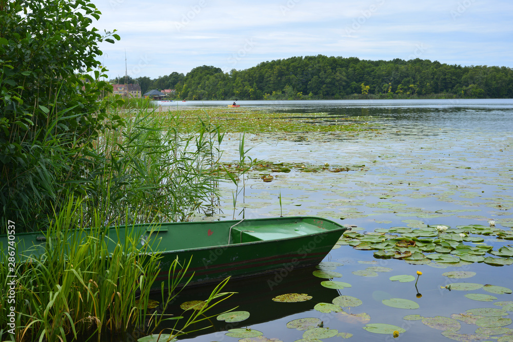 scenic view of the oberfuhlsee in Lychen, Germany, Brandenburg region with water plants and a boat scenic view of the oberfuhlsee in Lychen, Germany, Brandenburg region with water plants and a boat