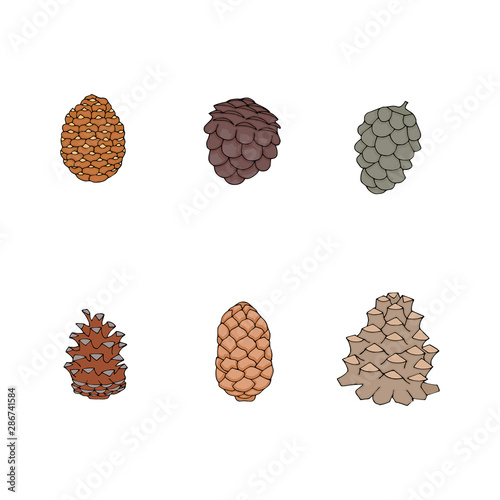 Hand drawn cones collection. Natural forest set. Vector cones set.