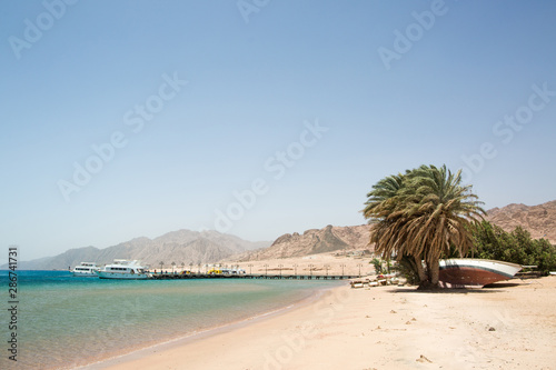 Sandy Beach in the Sinai Desert. The shore of the Red Sea in the city of Dahab  Egypt. Public beach with date palm trees and mountains on the horizon