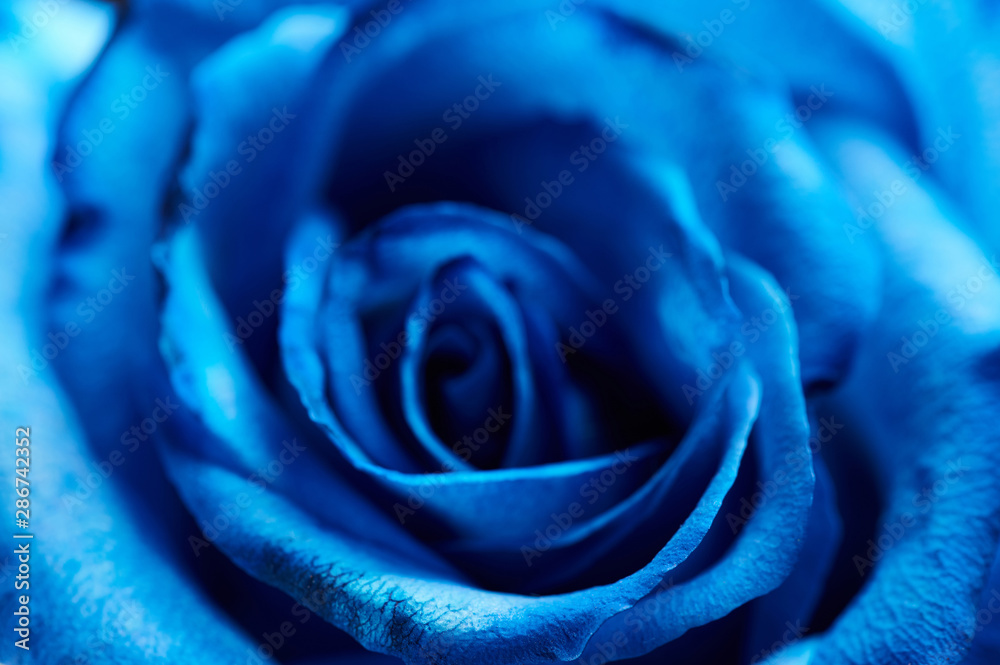 Obraz premium Abstract blurred background