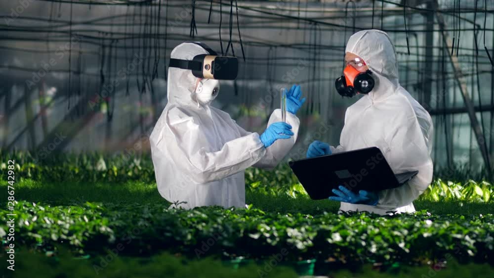 Two biologists work in a greenhouse, using VR glasses and laptop. Two biologists work in a greenhouse, using VR glasses and laptop.