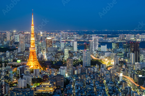 Tokyo city skyline at twilight, Tokyo Japan