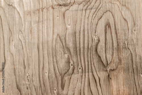 old Wood texture and background