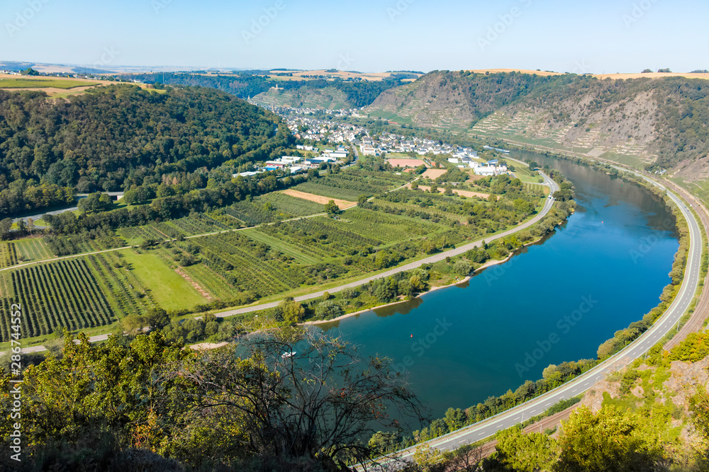 Top view on Mosel river valley and green terraced vineyards, Germany, production of quality white and red wine, riesling