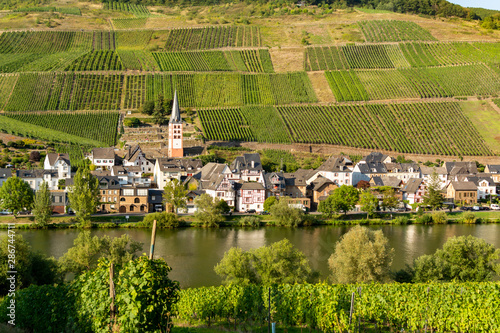 Famous green terraced vineyards in Mosel river valley, Germany, production of quality white and red wine, riesling