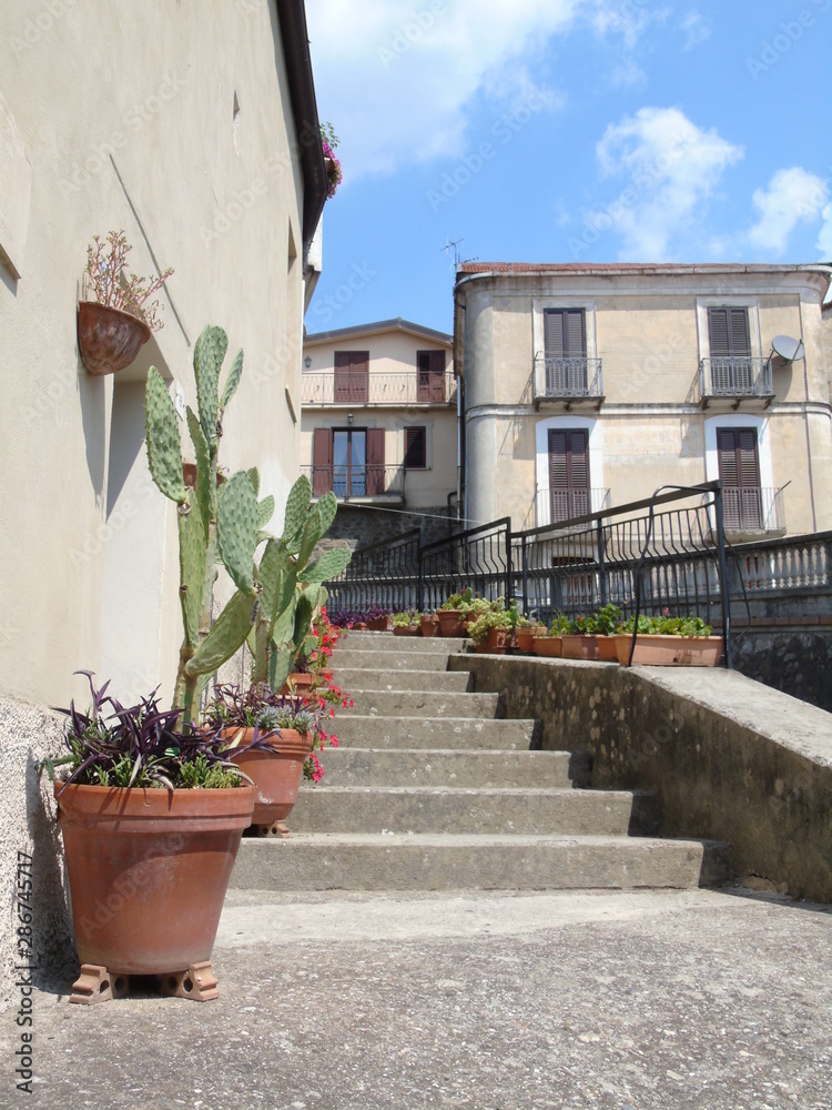 View of an External Staircase with vases of various plants and prickly pear in Taverna (Calabria - Italy) 
