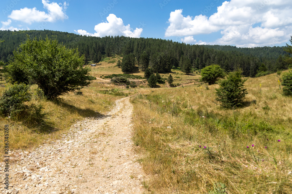 Valle nella Sila, Calabria - Italia