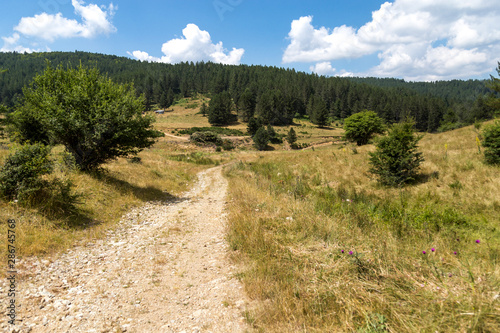 Obraz na płótnie Valle nella Sila, Calabria - Italia w salonie
