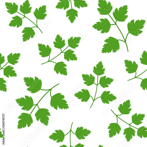 Seamless Green parsley in flat style pattern