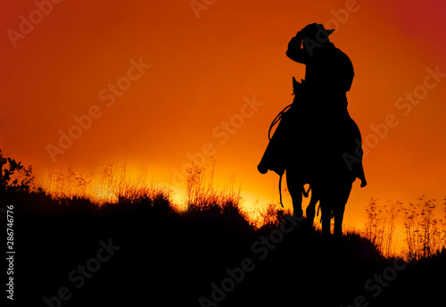 silhouette of a man on horse