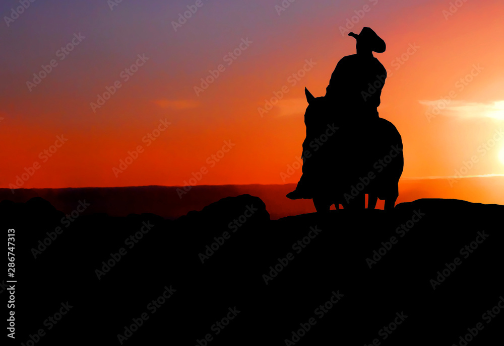 silhouette of cowboy on horse