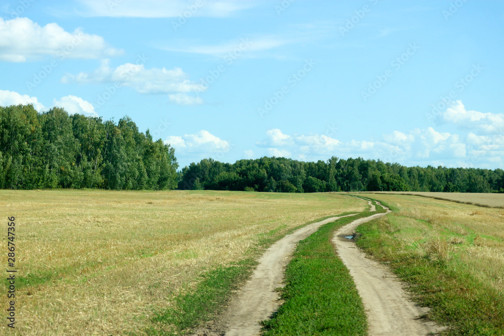Beautiful and romantic rural dirt road in the field with forest on the background