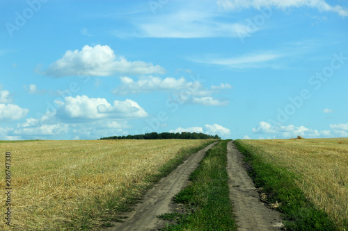 road to the clouds - rural dirt road in the field