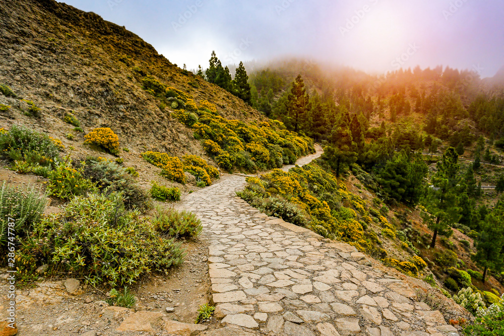Road in the mountains with the beautiful sunset view. Road in the mountains with the beautiful sunset view.