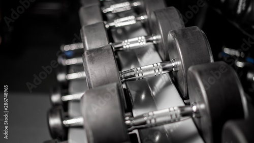 row of dumbbell in fitness gym