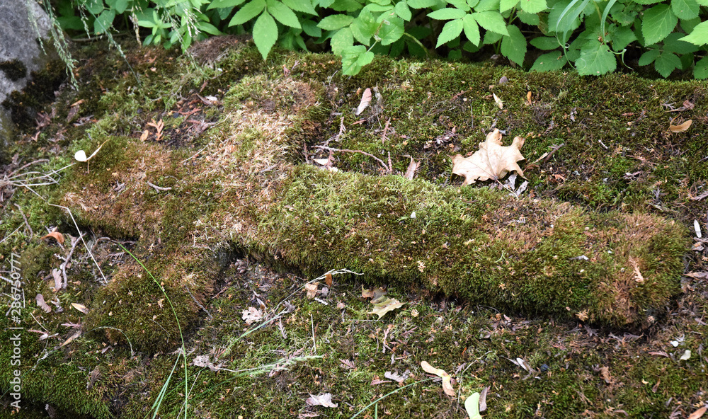 old cross cementary