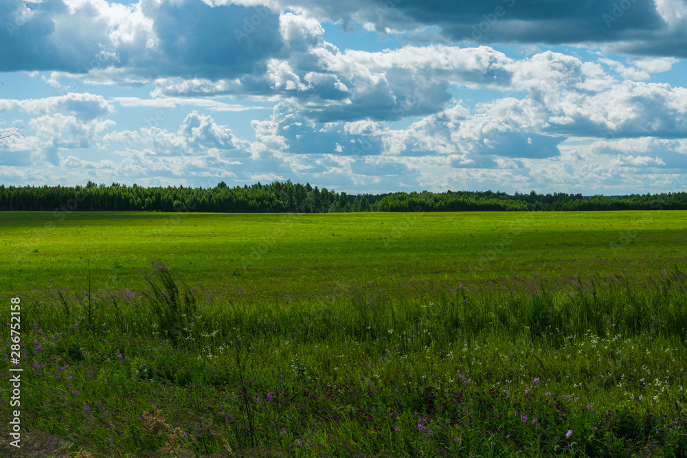 rural landscape. field and clouds in summer rural landscape. field and clouds in summer