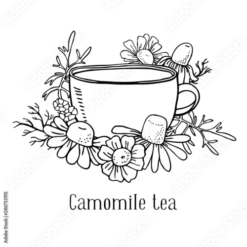 Cup of tea with chamomile flowers and leaves. Hand drawn sketch vector illustration isolated black on white background