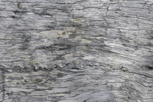 Old natural wooden texture