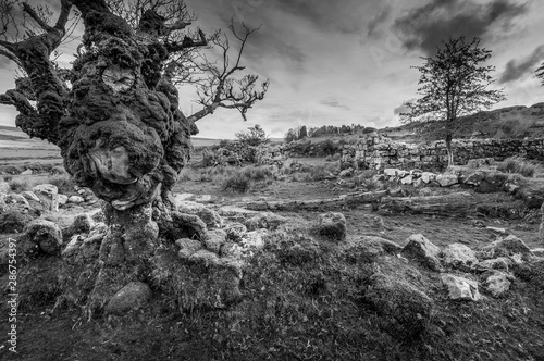 Dartmoor National Park Whiteworks Abandoned Tin Mine