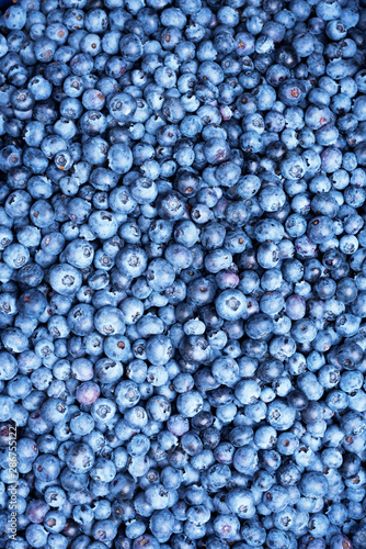 Fresh blueberries background with copy space for your text. Border design. Vegan and vegetarian concept. Macro texture of blueberry berries. Summer healthy food