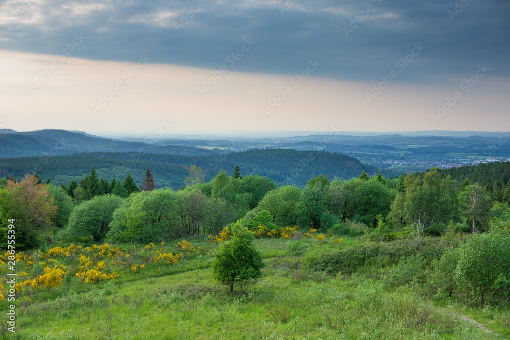 Fototapeta premium The landscape of Teutoburg Forest in Germany