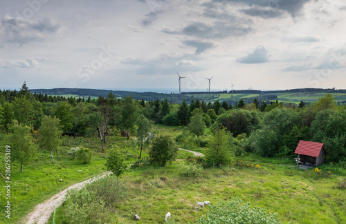 The landscape of Teutoburg Forest in Germany photo