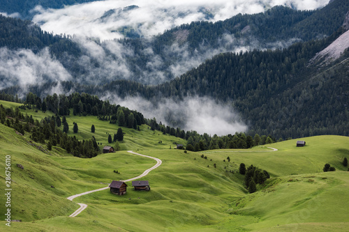 view at meadow with forest and clouds in the background