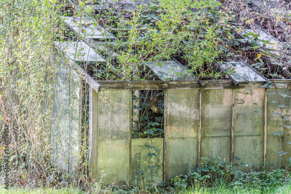 old dilapidated greenhouse