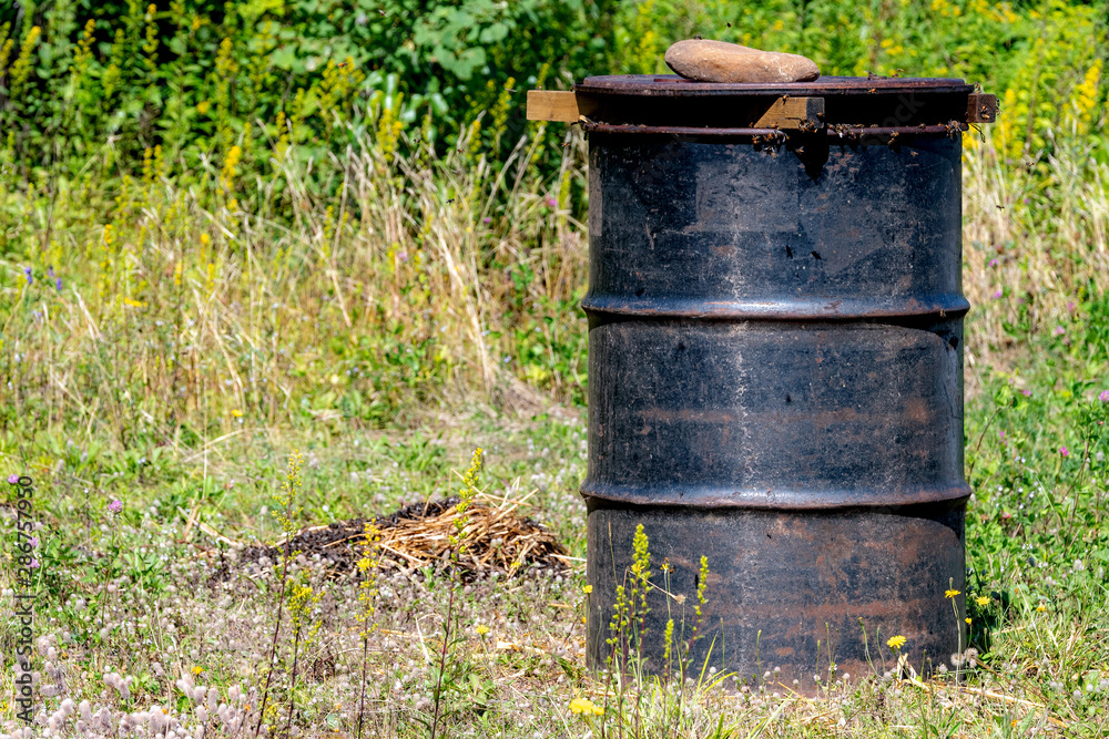 A black barrel being used as a bee feeder. Barrels containing sugar syrup are used as inexpensive bee feeders at beehive farms. A black barrel being used as a bee feeder. Barrels containing sugar syrup are used as inexpensive bee feeders at beehive farms.