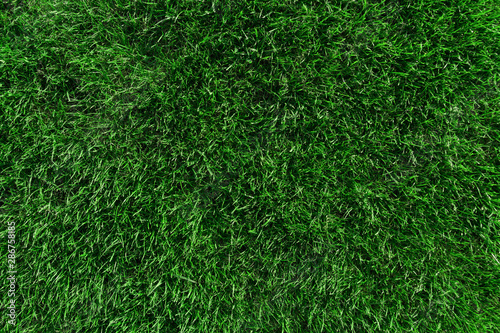 Wallpaper Mural Green grass. Natural background.  Lawn. Football field. Torontodigital.ca