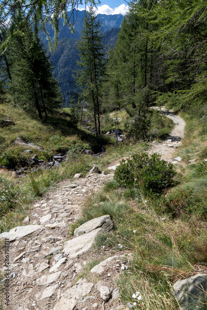 Sentiero in montagna