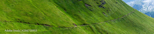 panorama sur un chemin à flanc de colline verte 