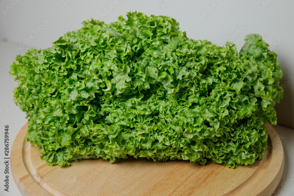 Fresh lettuce salad leaves bunch isolated on white background cutout Fresh lettuce salad leaves bunch isolated on white background cutout