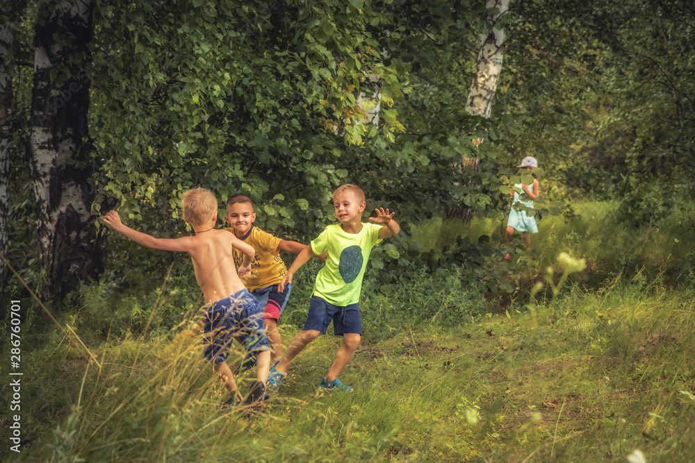 Obraz premium Boys fighting over girls outdoors in forest countryside childhood lifestyle