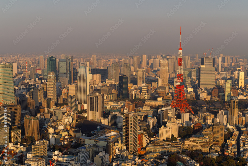 Tokyo Tower with skyline in Tokyo Japan at sunset