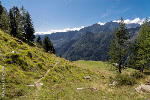 Obraz na płótnie Sentiero in montagna w salonie