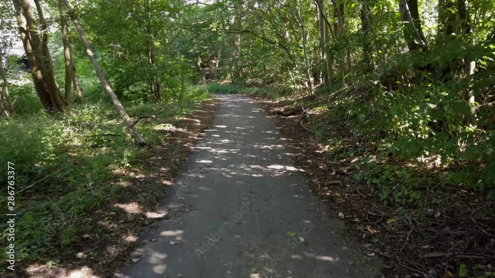 Walking down a path surrounded by trees. Walking down a path surrounded by trees.