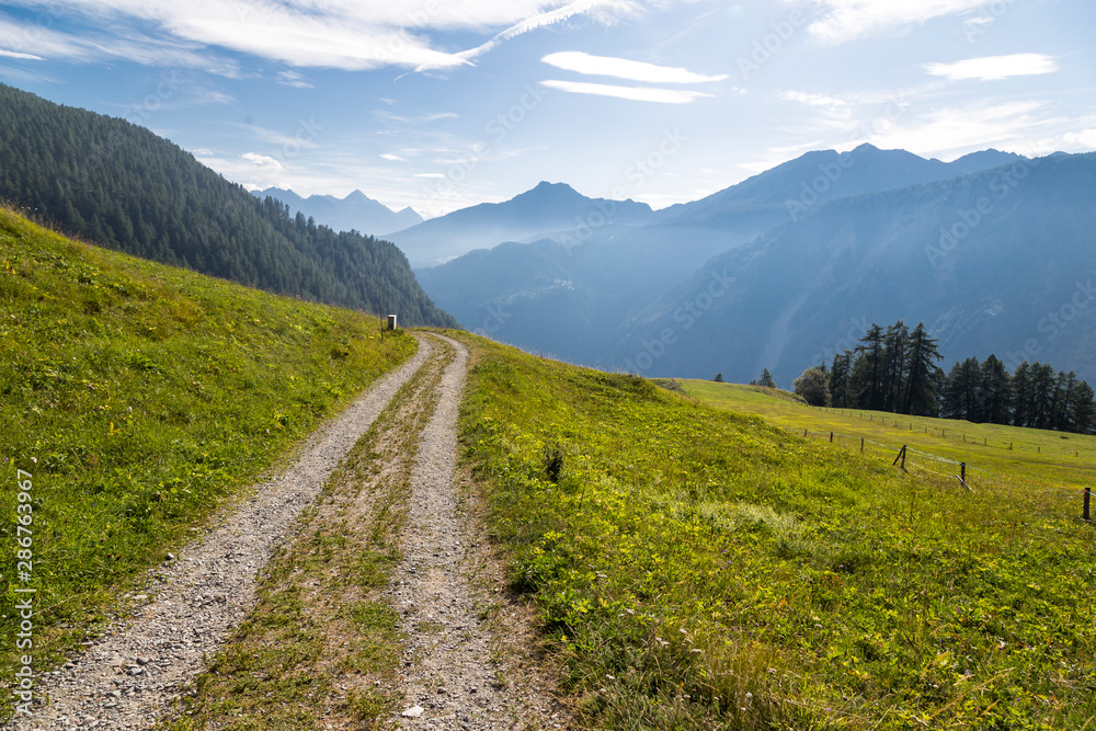 Sentiero in montagna
