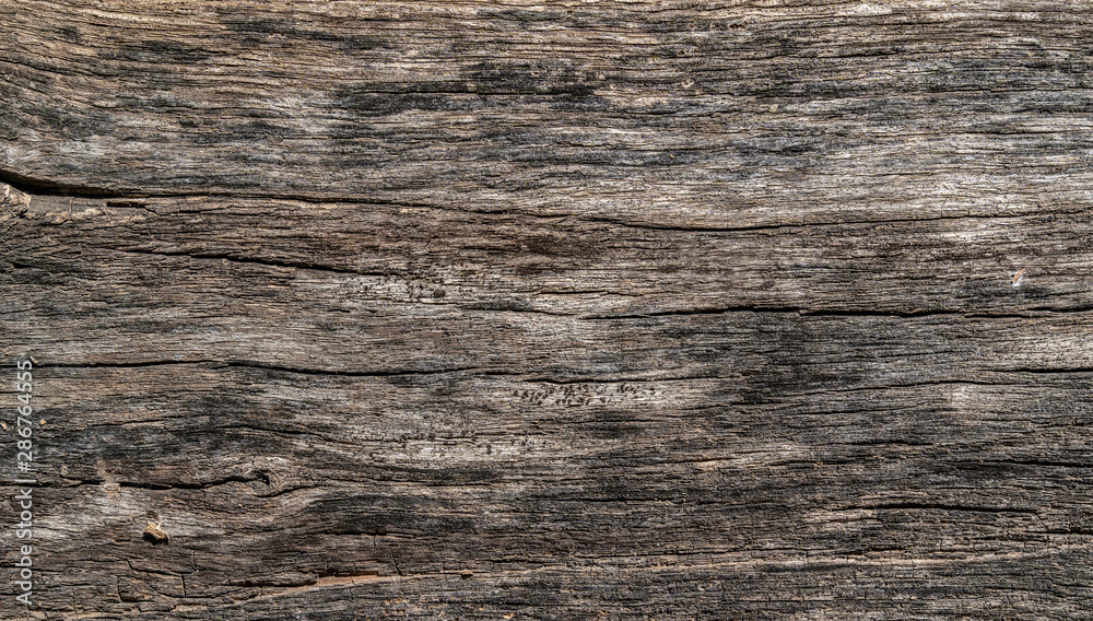 Wooden texture background. Old wood texture with scratches, lines and different cracks. Black, brown and gray colours. Background for text or design Wooden texture background. Old wood texture with scratches, lines and different cracks. Black, brown and gray colours. Background for text or design