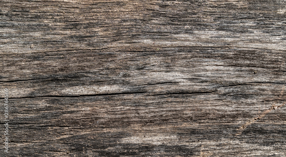 Wooden texture background. Old wood texture with scratches, lines and different cracks. Black, brown and gray colours. Background for text or design Wooden texture background. Old wood texture with scratches, lines and different cracks. Black, brown and gray colours. Background for text or design