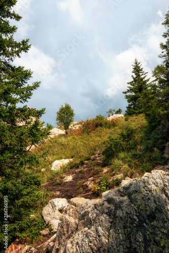 mountain landscape on a summer day