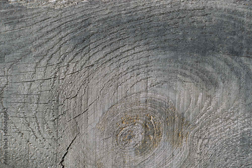 Fototapeta premium Old gray-brown natural wood background in the form of a board with cracks, knots and a rough surface