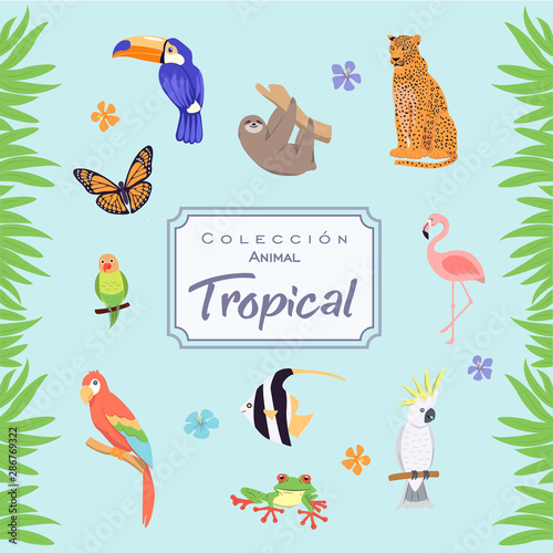 Tropical Animal