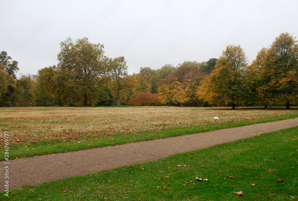 Obraz premium London