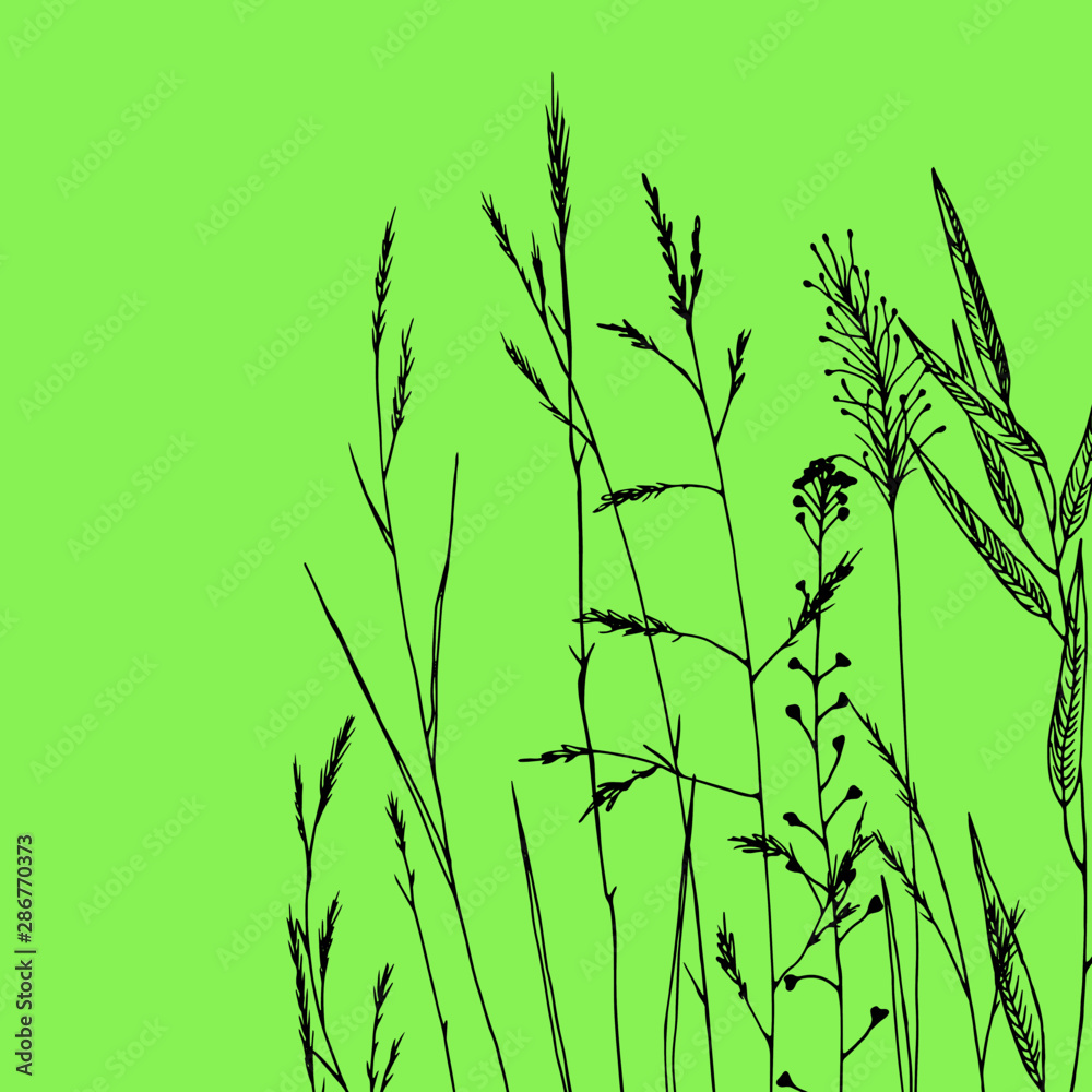 background with silhouettes of grass